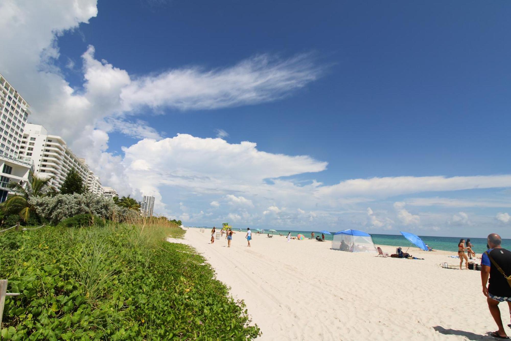 Castle 835 Oceanview Studio On Beach With Pool, Gym, Bars, And Free Parking Miami Beach Extérieur photo